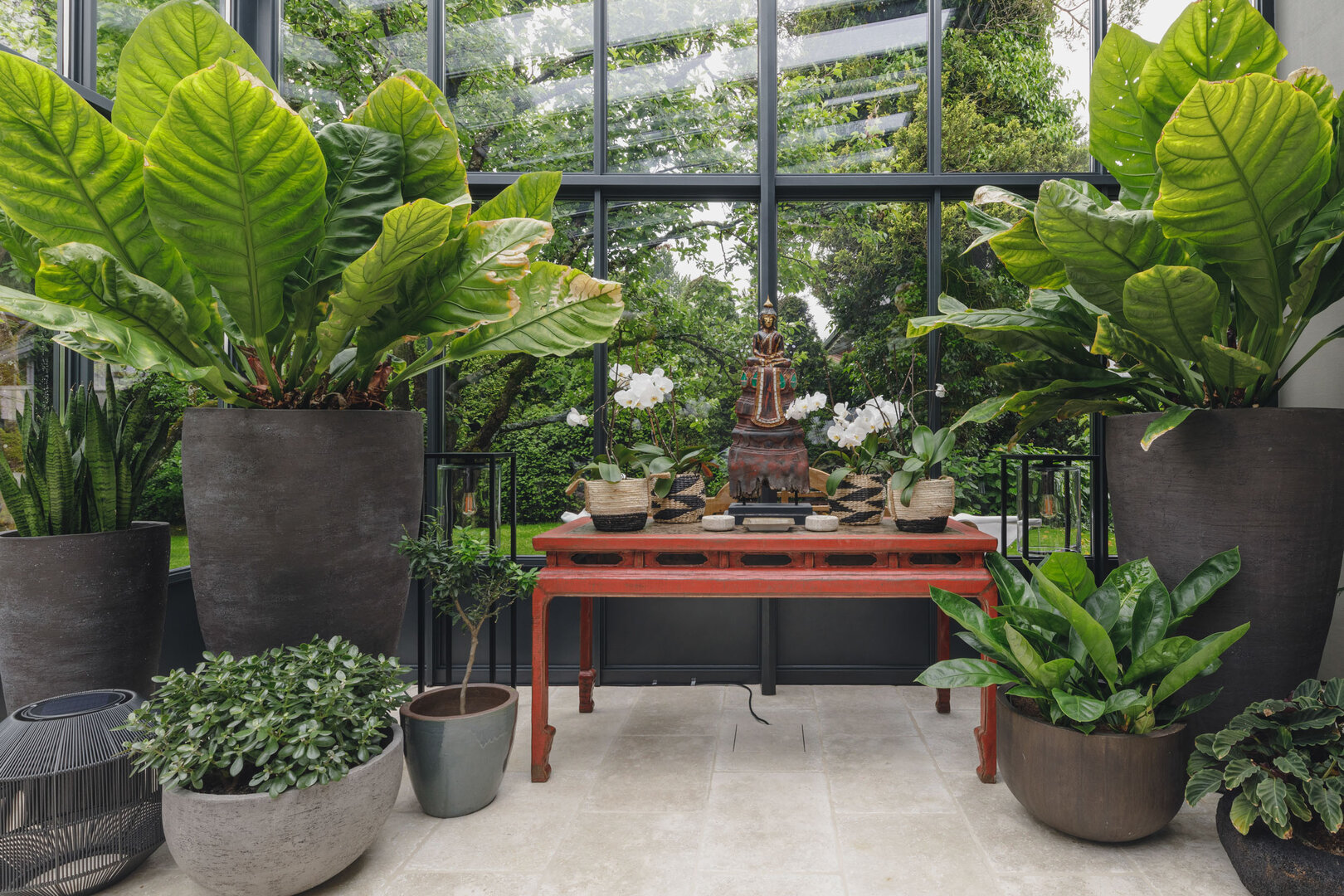 Lush green, Pot, Wintergarden